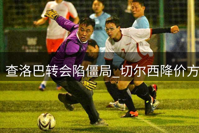 查洛巴转会陷僵局 切尔西降价方案遭科莫质疑