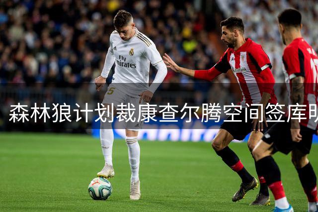 森林狼计划裁康查尔腾空间签库明加